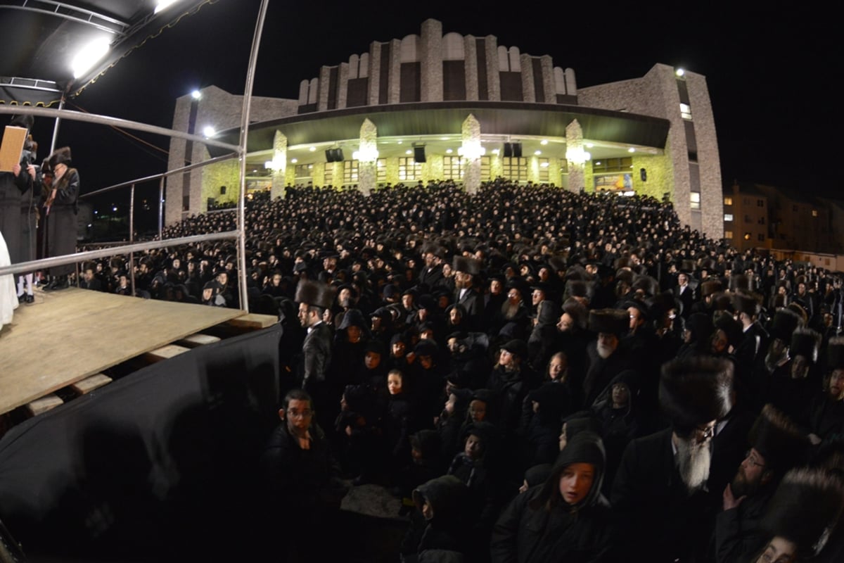 גלריה: חתונת נכד האדמו"ר מסאטמר