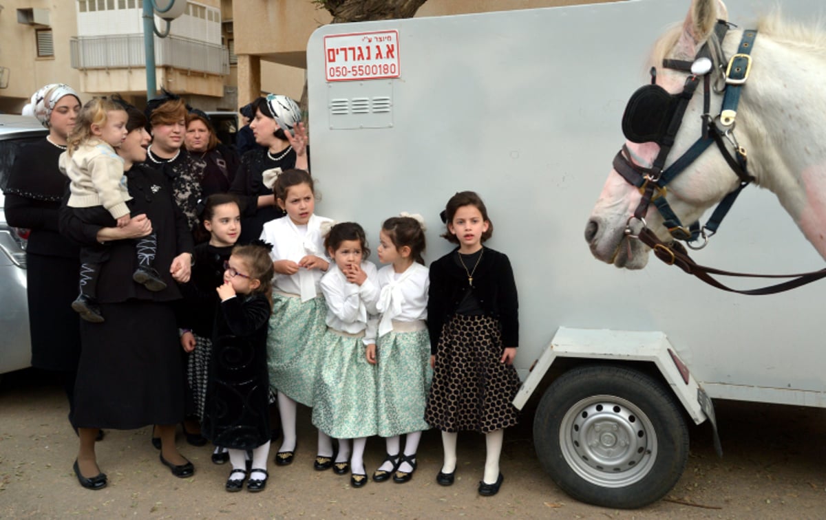 חתונת צאנז: הכלה על כרכרה רתומה לסוס בדרך לחופה • תיעוד