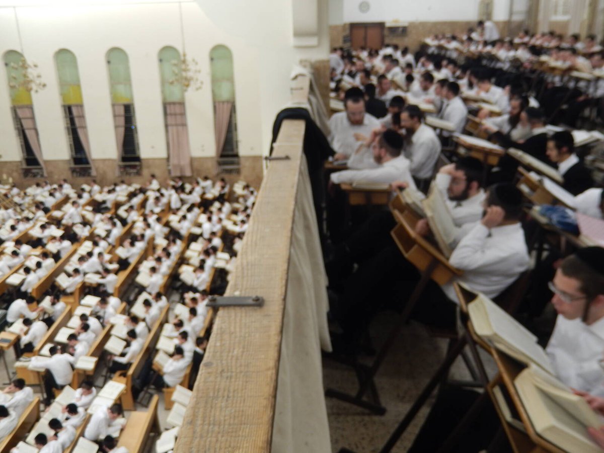 ליל פורים: בפוניבז' עשו שטייגען • צפו