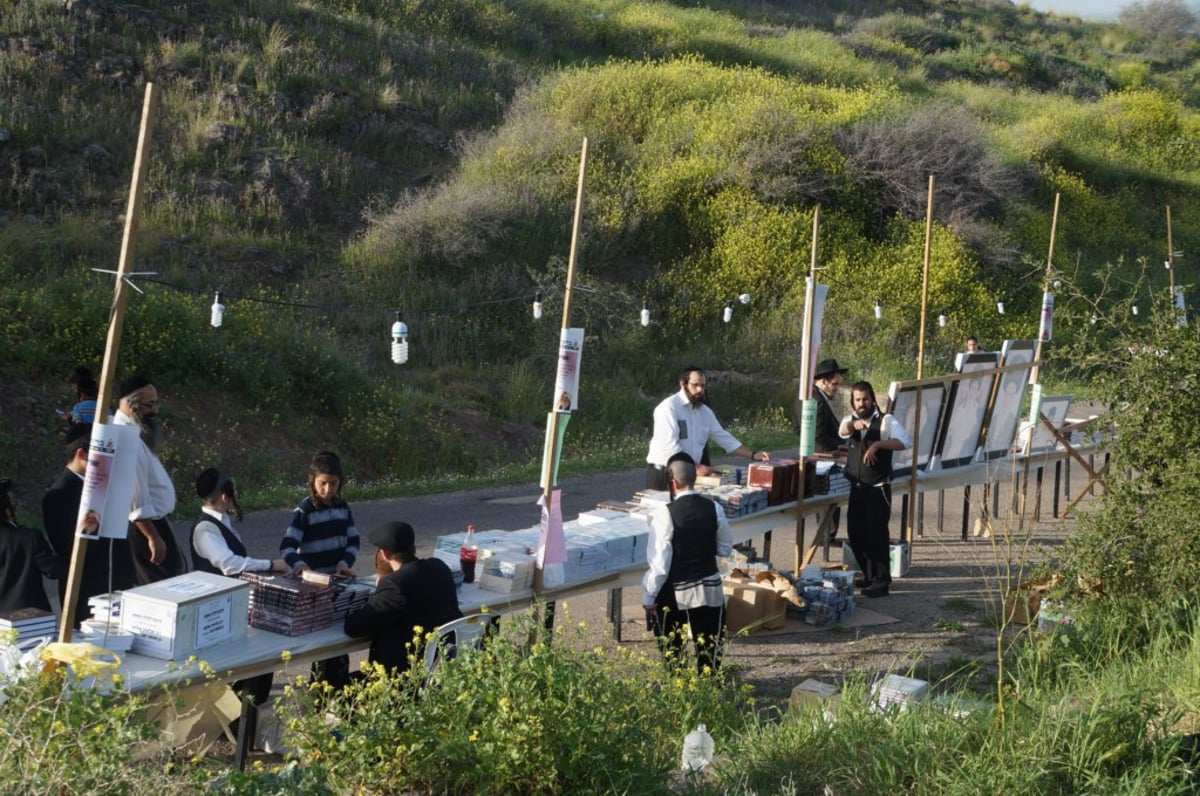 שלושים לפטירת המוהרא"ש שיק; צפו בעצרת על קברו