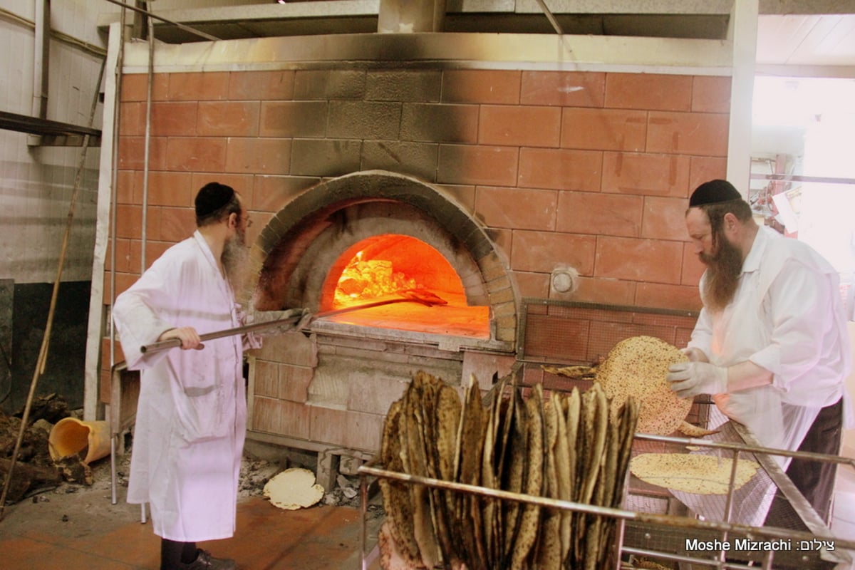 רבי יצחק זילברשטיין ורבי יעקב אדלשטיין אפו מצות • גלריה