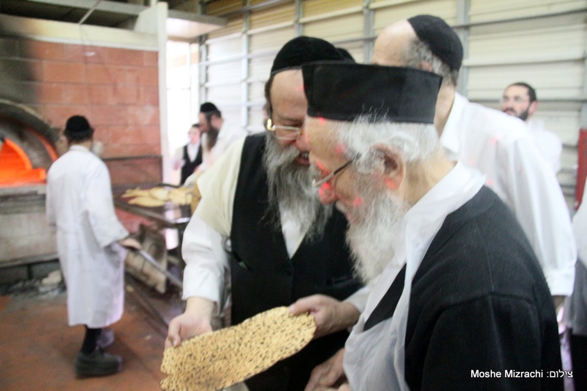 רבי יצחק זילברשטיין ורבי יעקב אדלשטיין אפו מצות • גלריה