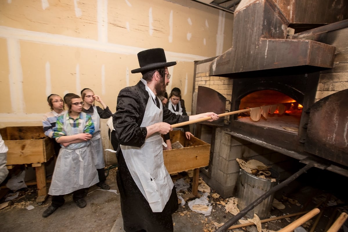 גלריה: בבורו פארק מתכוננים לקראת חג הפסח