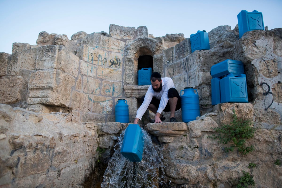 כך שואבים "מים שלנו" לאפיית מצות • גלריה