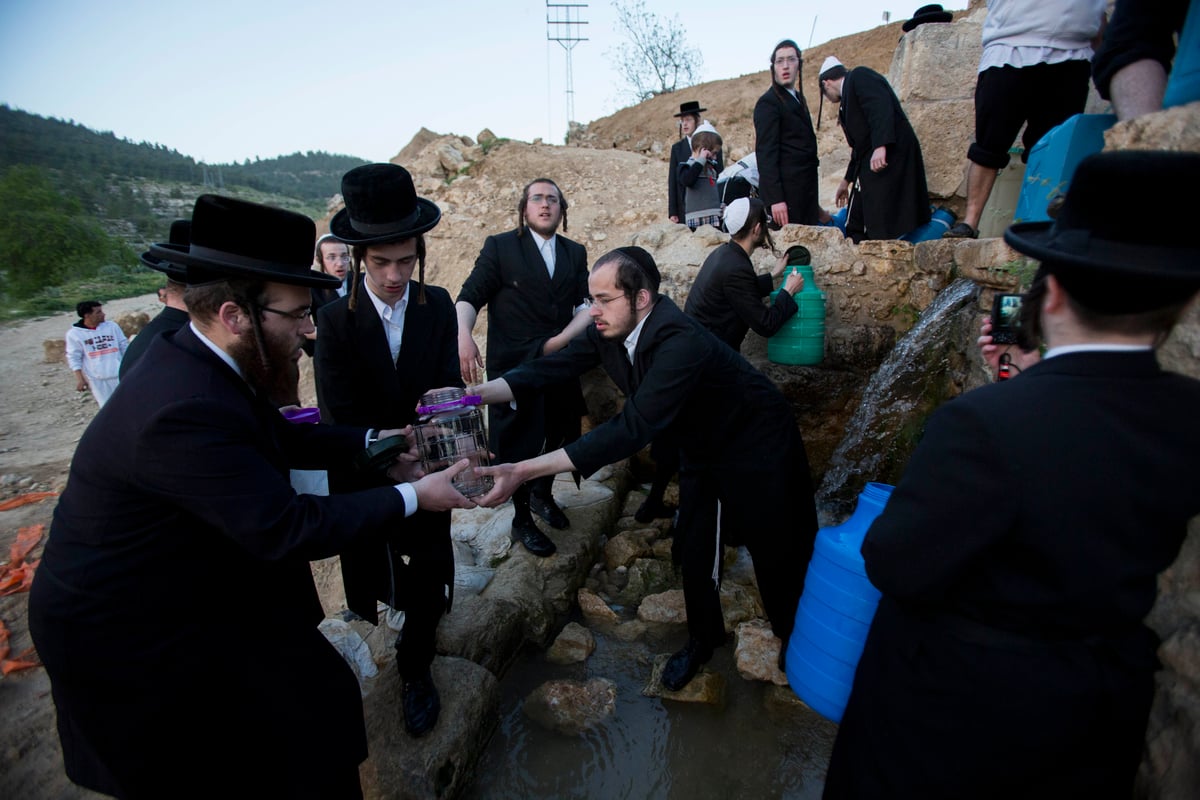 כך שואבים "מים שלנו" לאפיית מצות • גלריה