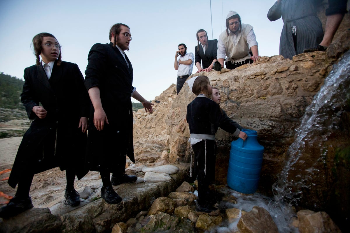 כך שואבים "מים שלנו" לאפיית מצות • גלריה