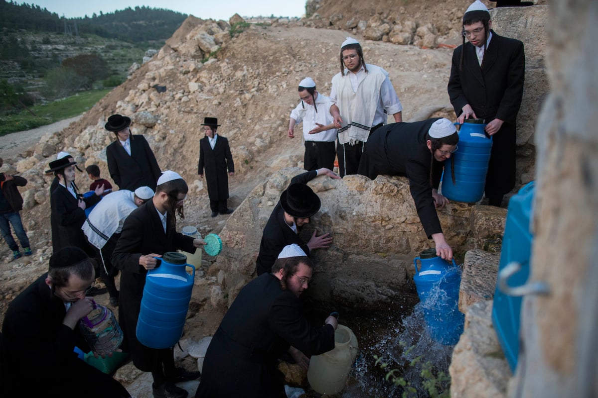 כך שואבים "מים שלנו" לאפיית מצות • גלריה