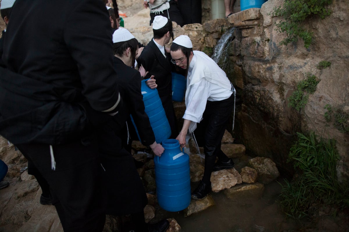 כך שואבים "מים שלנו" לאפיית מצות • גלריה