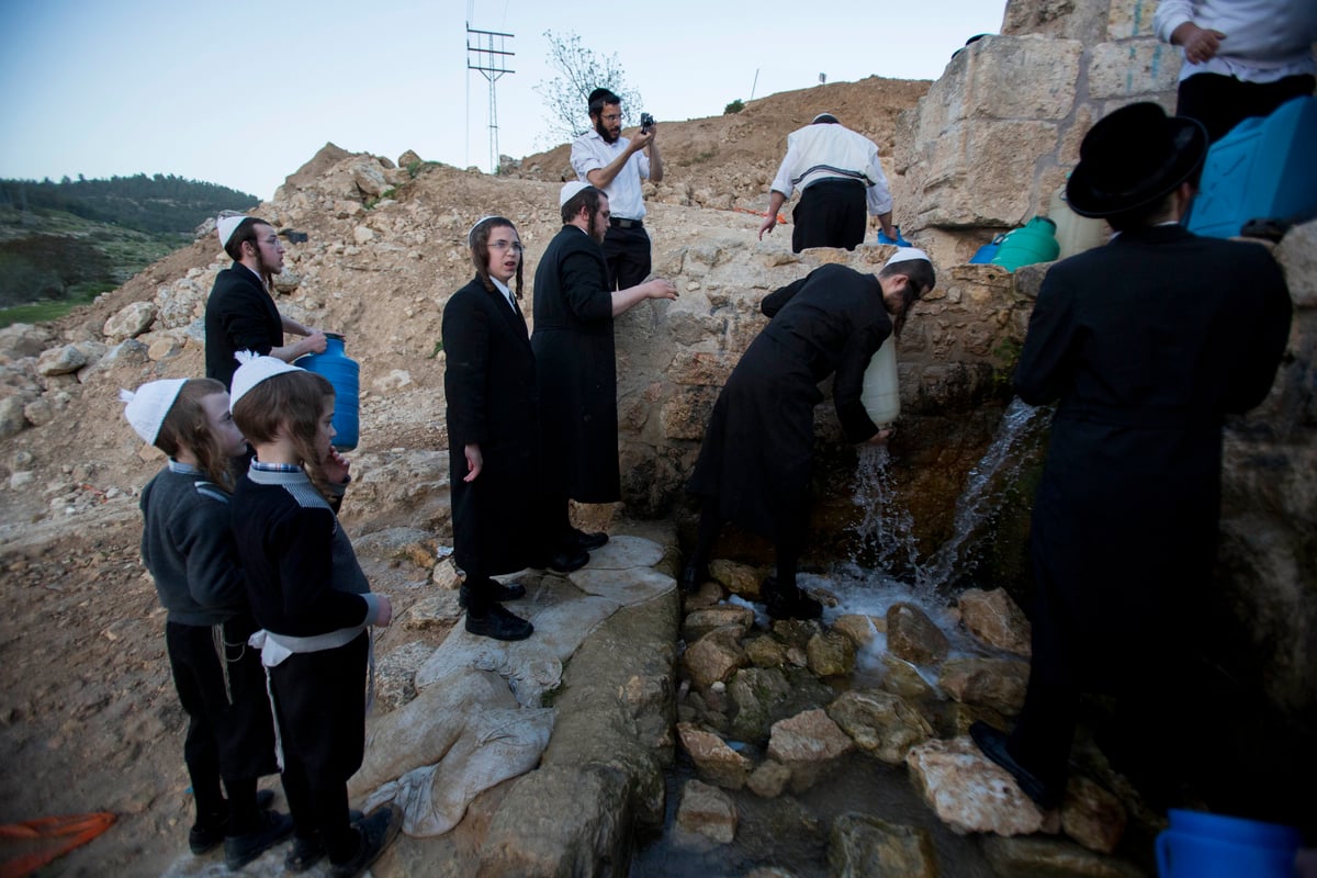 כך שואבים "מים שלנו" לאפיית מצות • גלריה