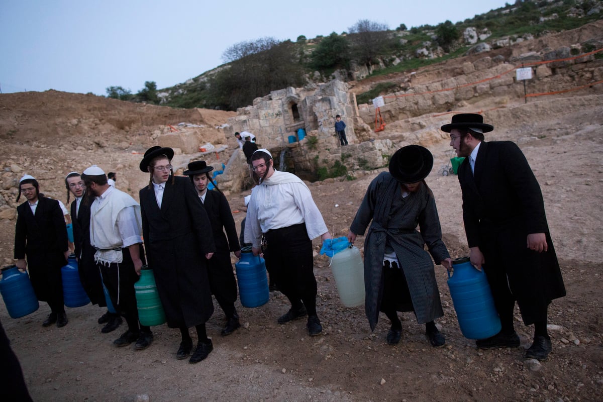 כך שואבים "מים שלנו" לאפיית מצות • גלריה