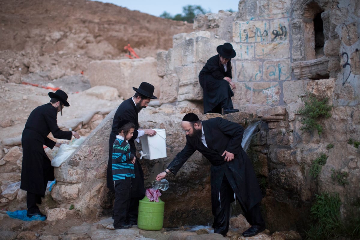 כך שואבים "מים שלנו" לאפיית מצות • גלריה