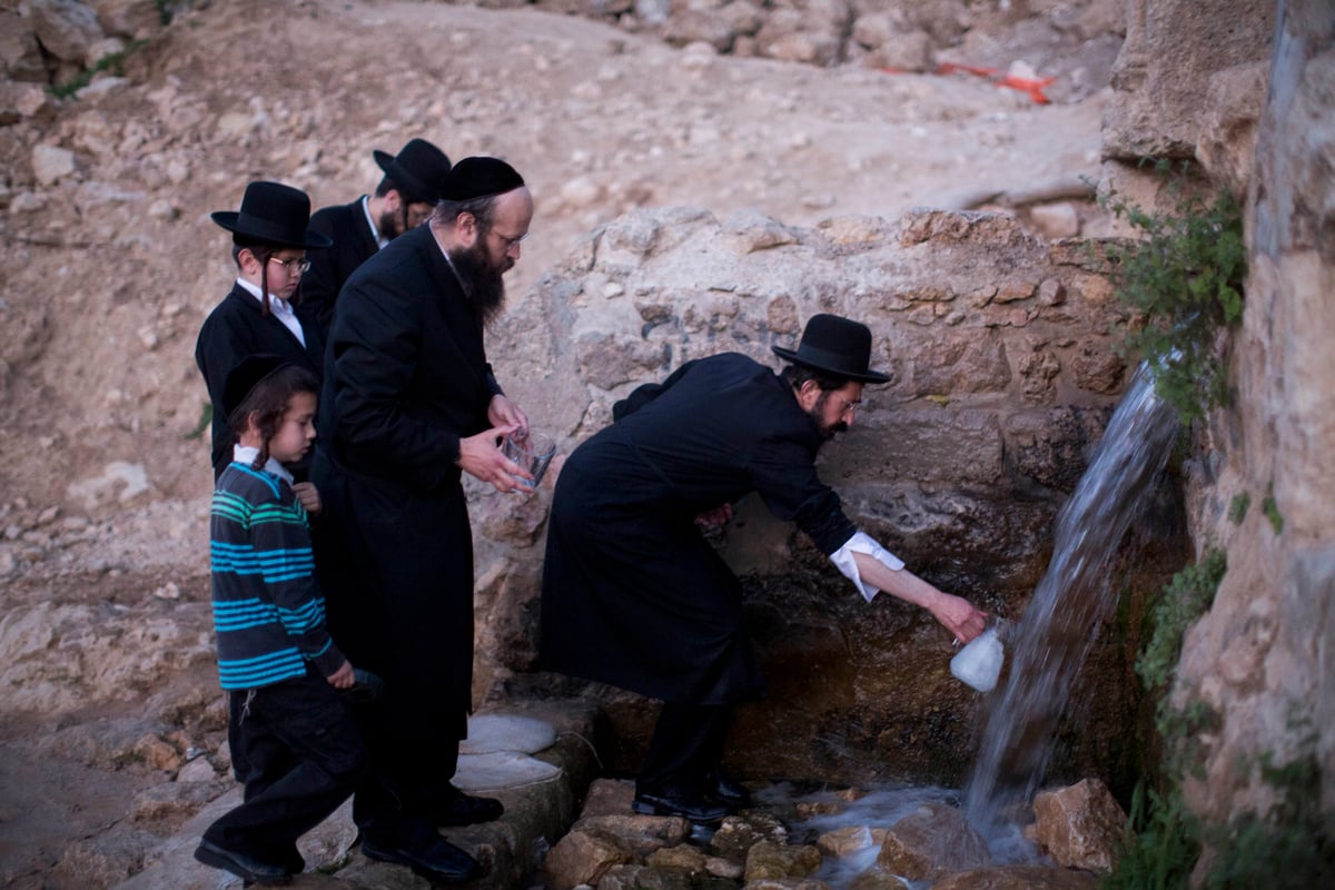 כך שואבים "מים שלנו" לאפיית מצות • גלריה