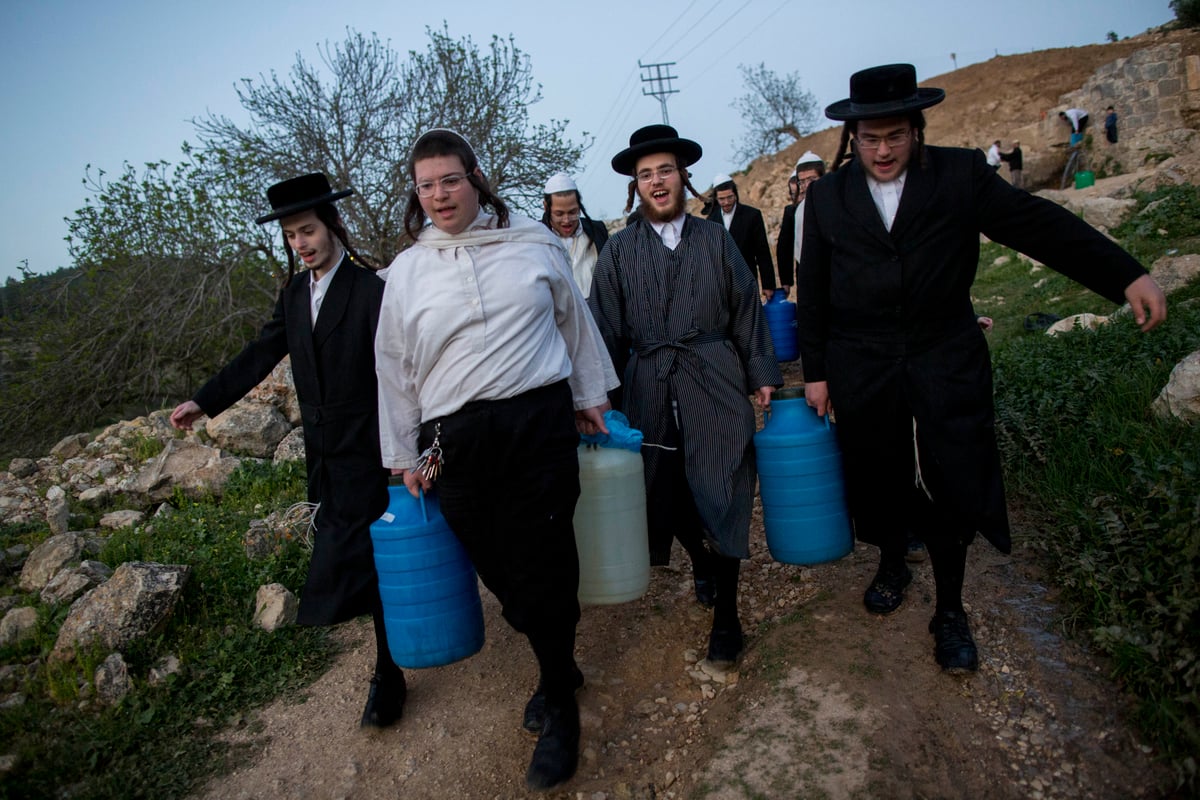 כך שואבים "מים שלנו" לאפיית מצות • גלריה