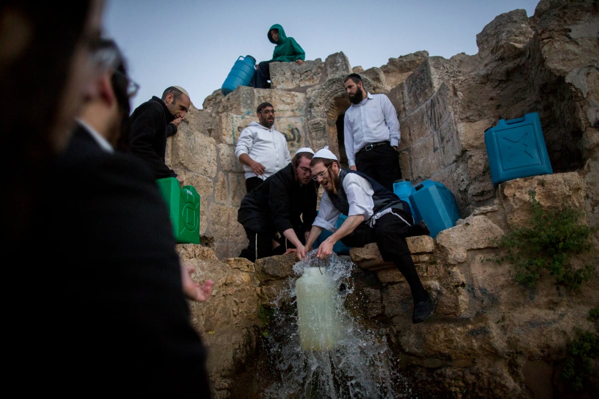 כך שואבים "מים שלנו" לאפיית מצות • גלריה