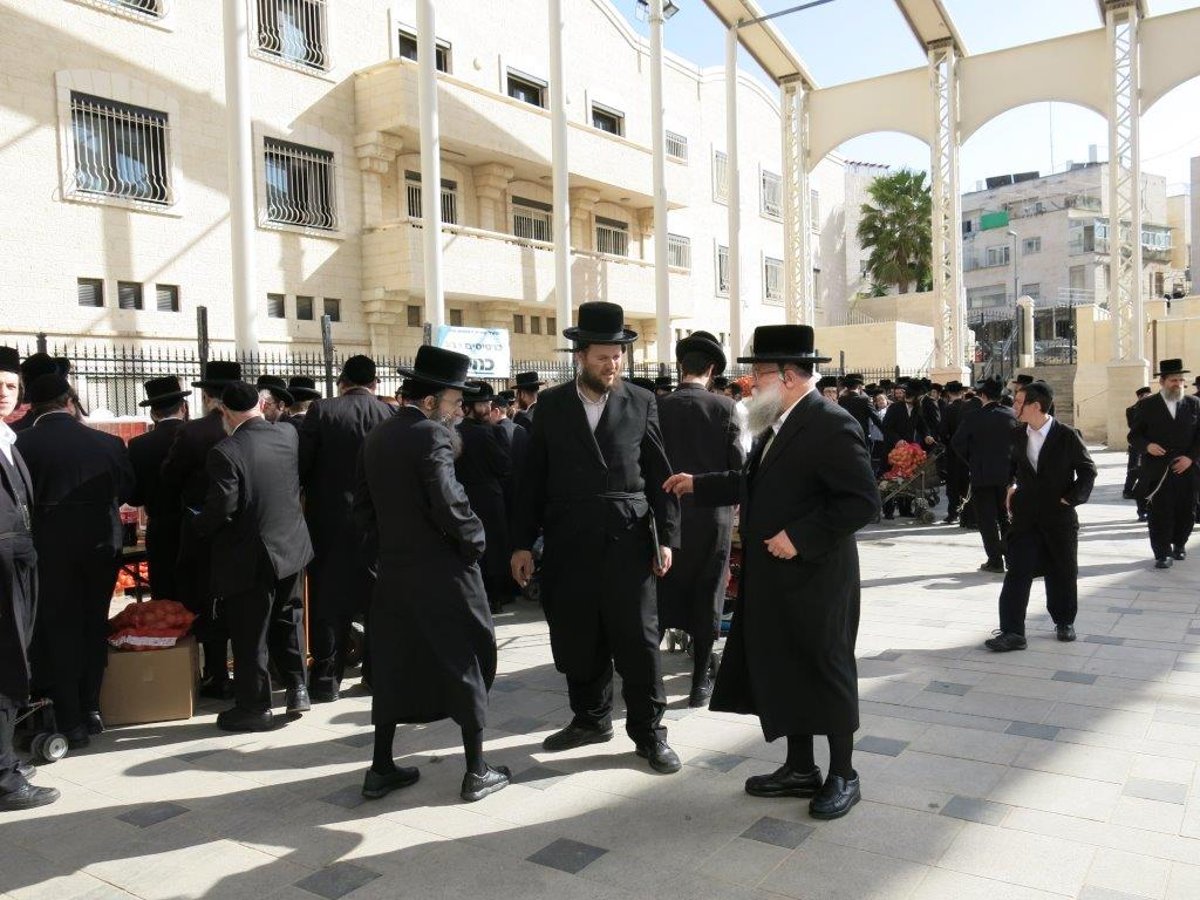 ערב חג הפסח בחצר בעלזא • גלריה