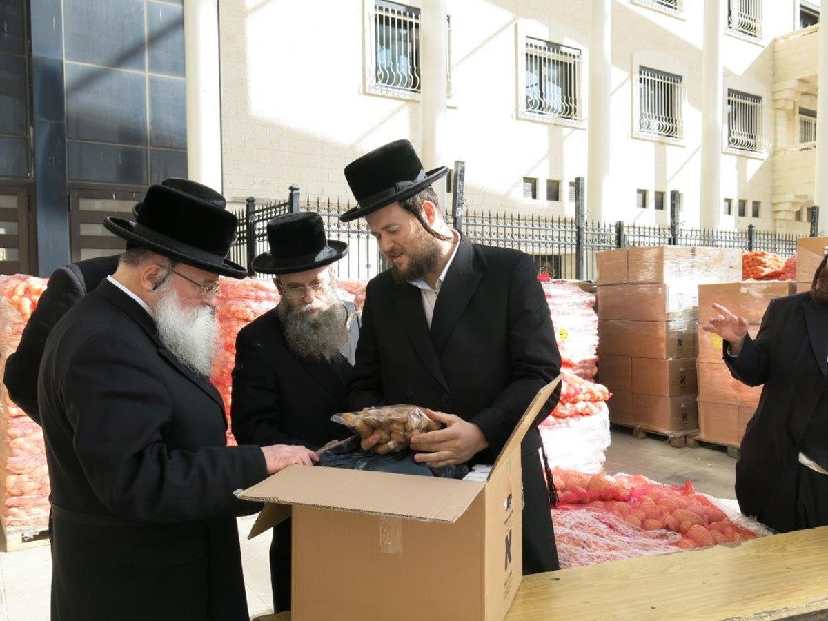 ערב חג הפסח בחצר בעלזא • גלריה