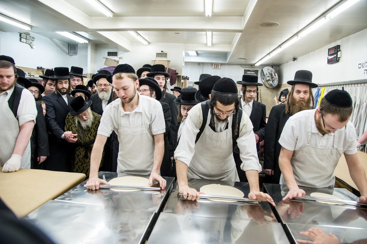 האדמו"ר מסקולען באפיית מצות לחג הפסח • גלריה