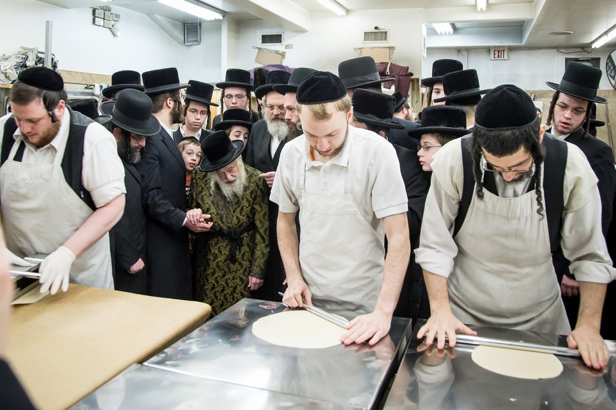 האדמו"ר מסקולען באפיית מצות לחג הפסח • גלריה