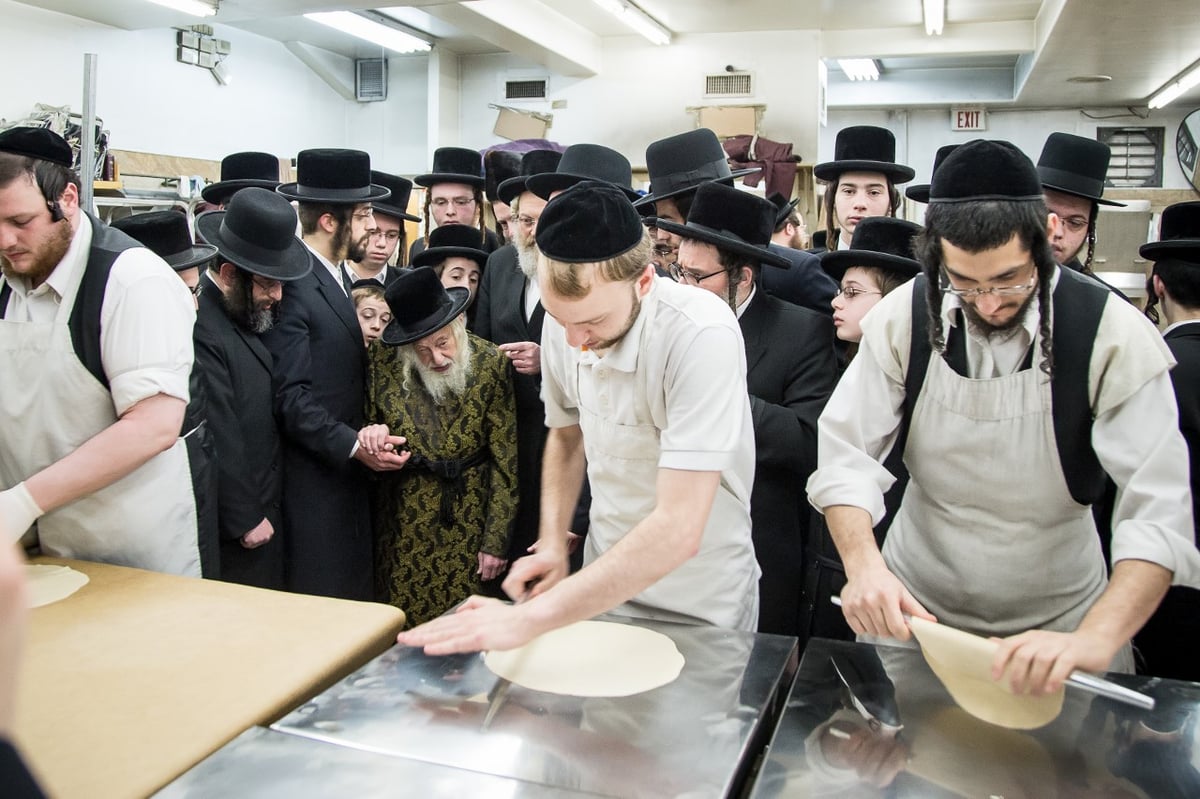 האדמו"ר מסקולען באפיית מצות לחג הפסח • גלריה