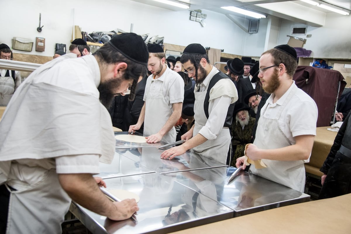 האדמו"ר מסקולען באפיית מצות לחג הפסח • גלריה