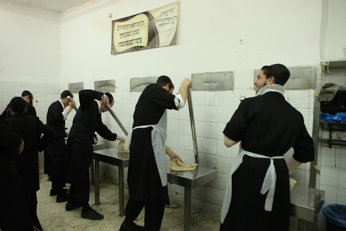 מהלישה ועד האפייה: כך אופים מצות • תיעוד מיוחד