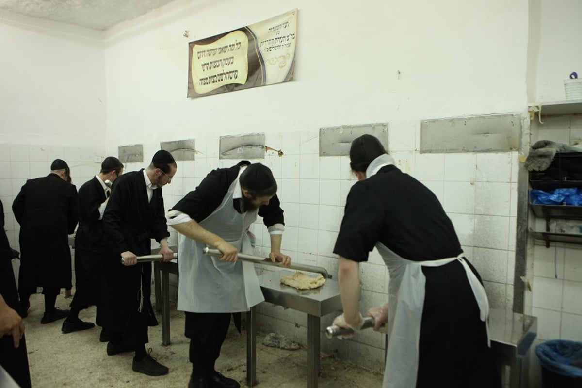 מהלישה ועד האפייה: כך אופים מצות • תיעוד מיוחד