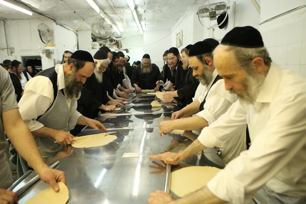 מהלישה ועד האפייה: כך אופים מצות • תיעוד מיוחד