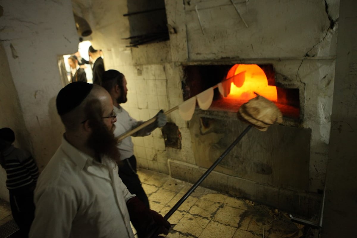 מהלישה ועד האפייה: כך אופים מצות • תיעוד מיוחד