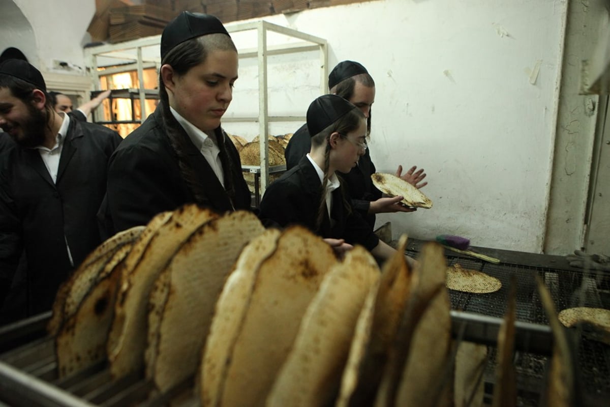 מהלישה ועד האפייה: כך אופים מצות • תיעוד מיוחד