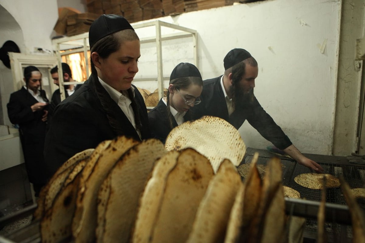 מהלישה ועד האפייה: כך אופים מצות • תיעוד מיוחד