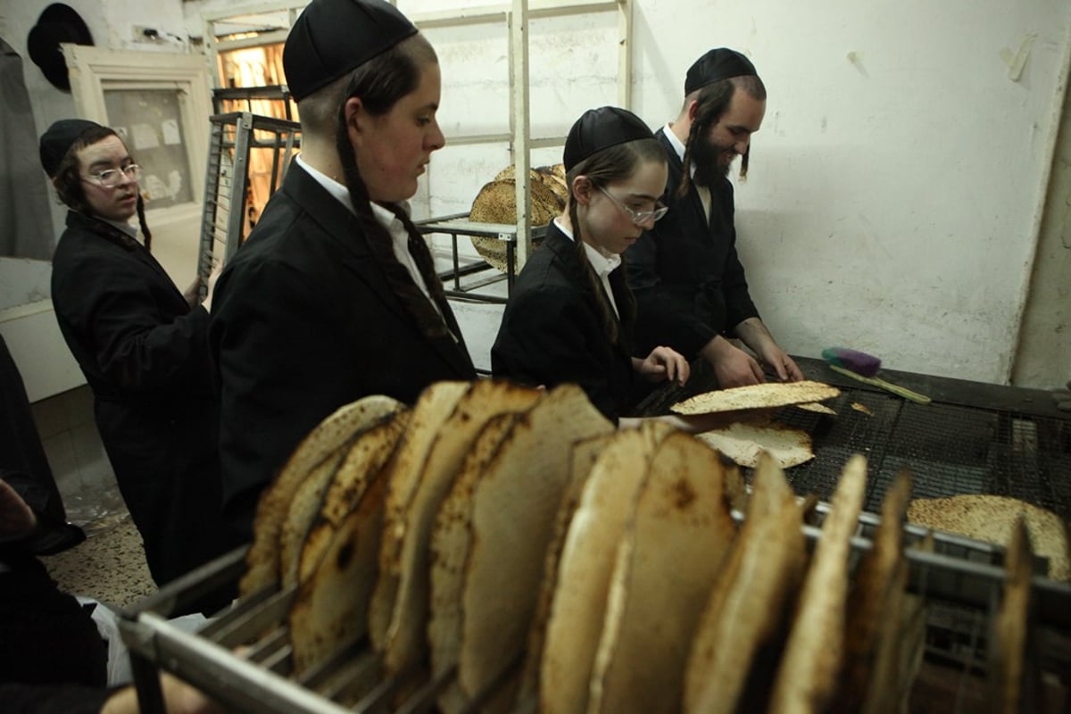 מהלישה ועד האפייה: כך אופים מצות • תיעוד מיוחד