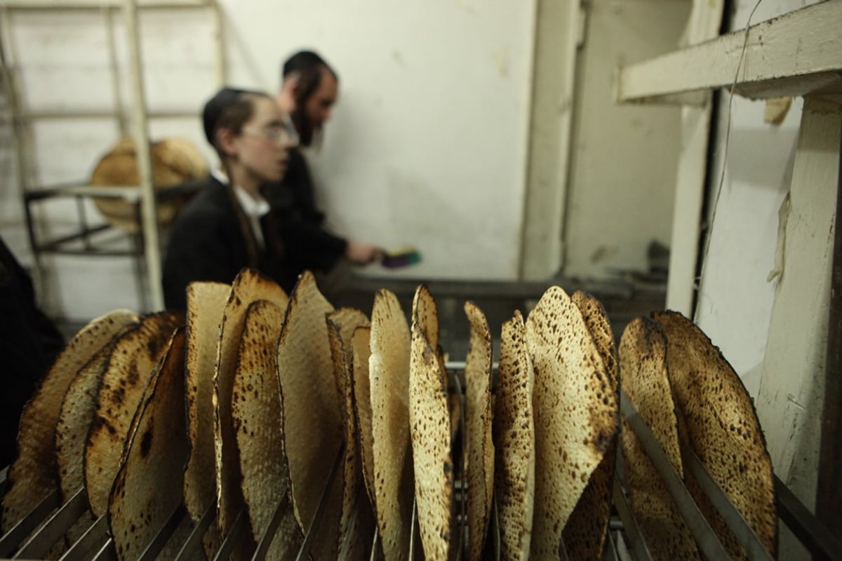 מהלישה ועד האפייה: כך אופים מצות • תיעוד מיוחד