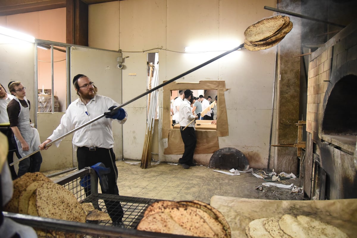 אפיית מצות לפנות בוקר בקריית צאנז. צפו בגלריה