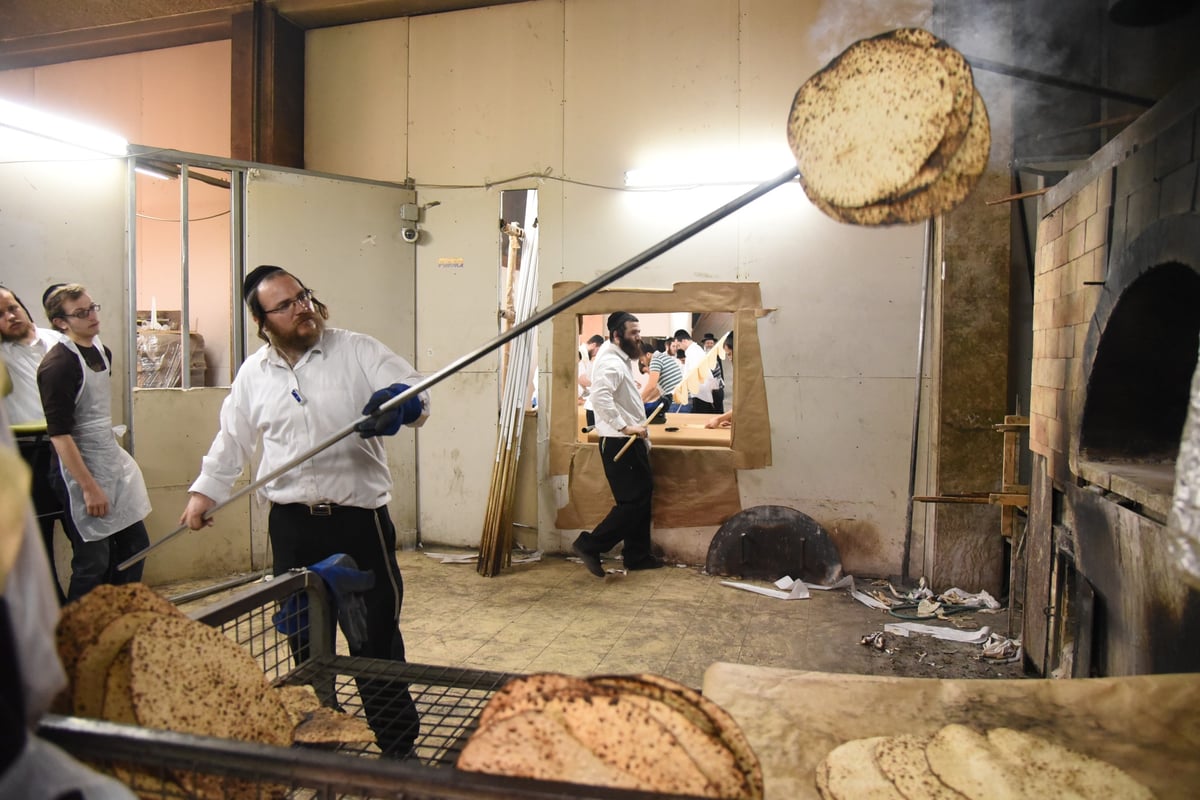 אפיית מצות לפנות בוקר בקריית צאנז. צפו בגלריה