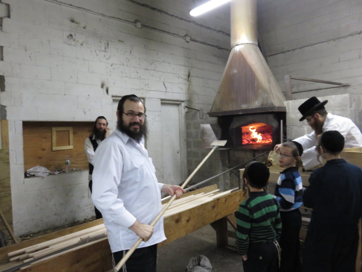 הכנות לפסח בשיכון סקווירא • תיעוד