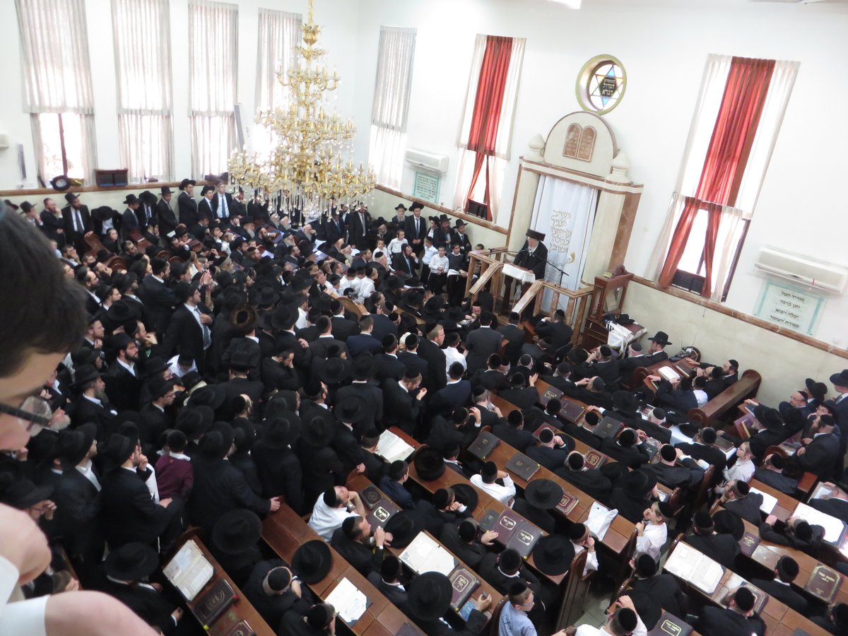 הרב אוירבך: 'אין להתפשר, התורה כבר תציל משיעבוד'