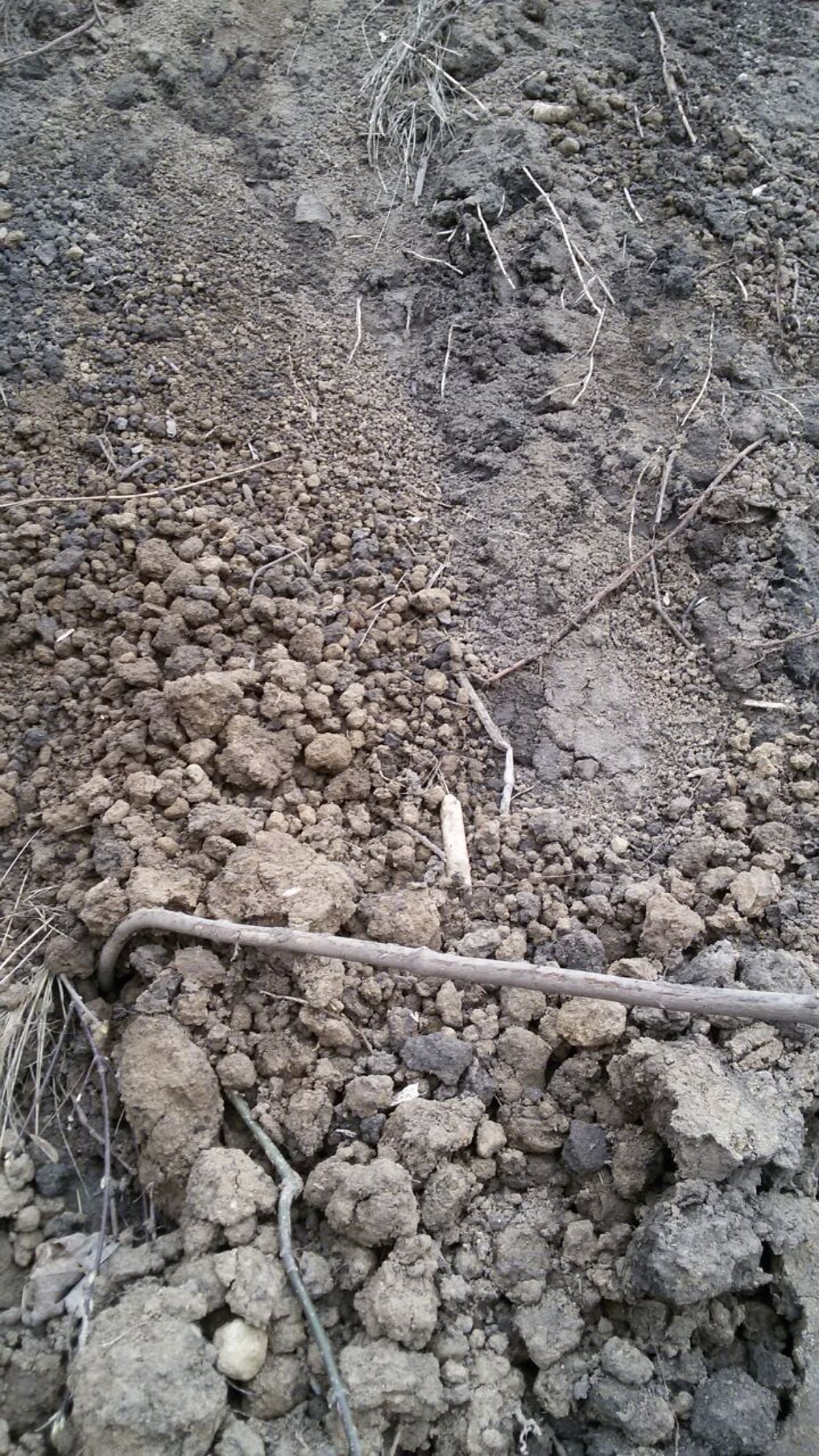 ויניציה: אלמונים חיללו את בית הקברות העתיק