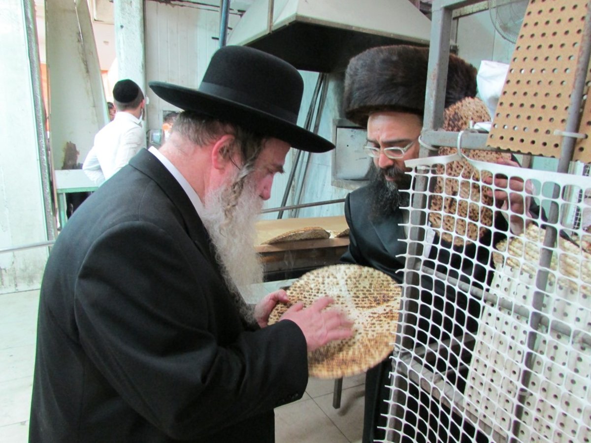 גלריה: חג הפסח של הגאון רבי מרדכי גרוס