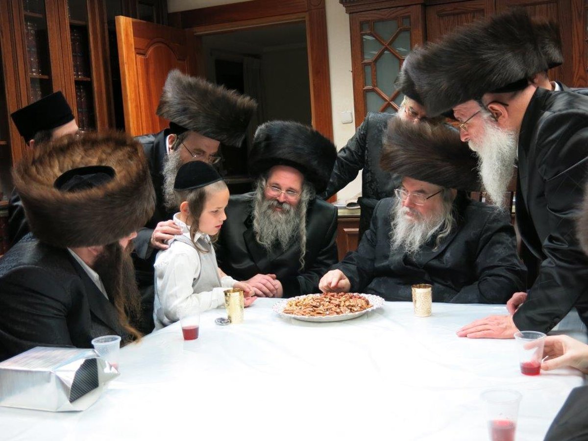 גלריה: פגישות הפיוס בחצרות בעלזא ומחנובקה