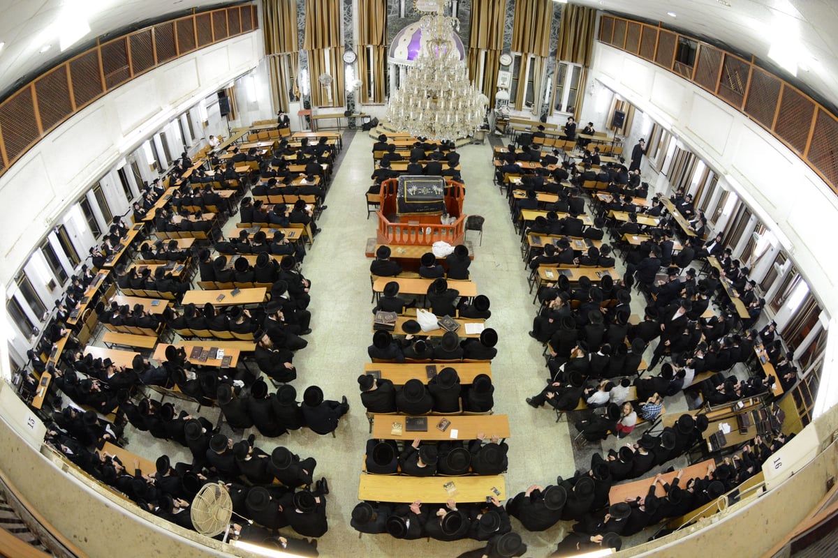 גלריה: בסאטמר ספדו למרן הגר"ש וואזנר