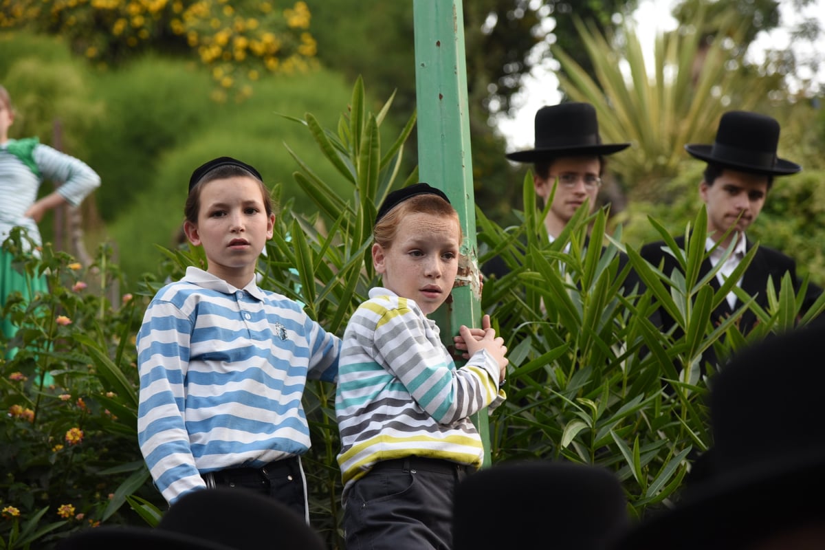 גלריה: מאות בהלווית הרב יצחק מאיר ז"ל