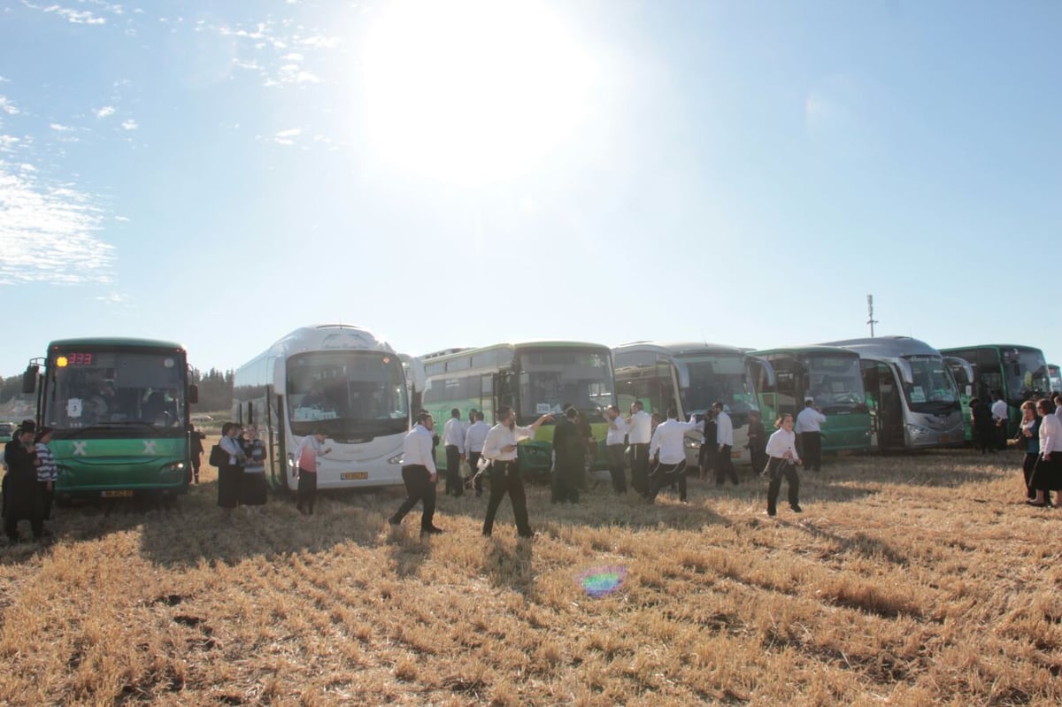 צפו: עוצרים להתרעננות בדרך לציון הרשב"י במירון