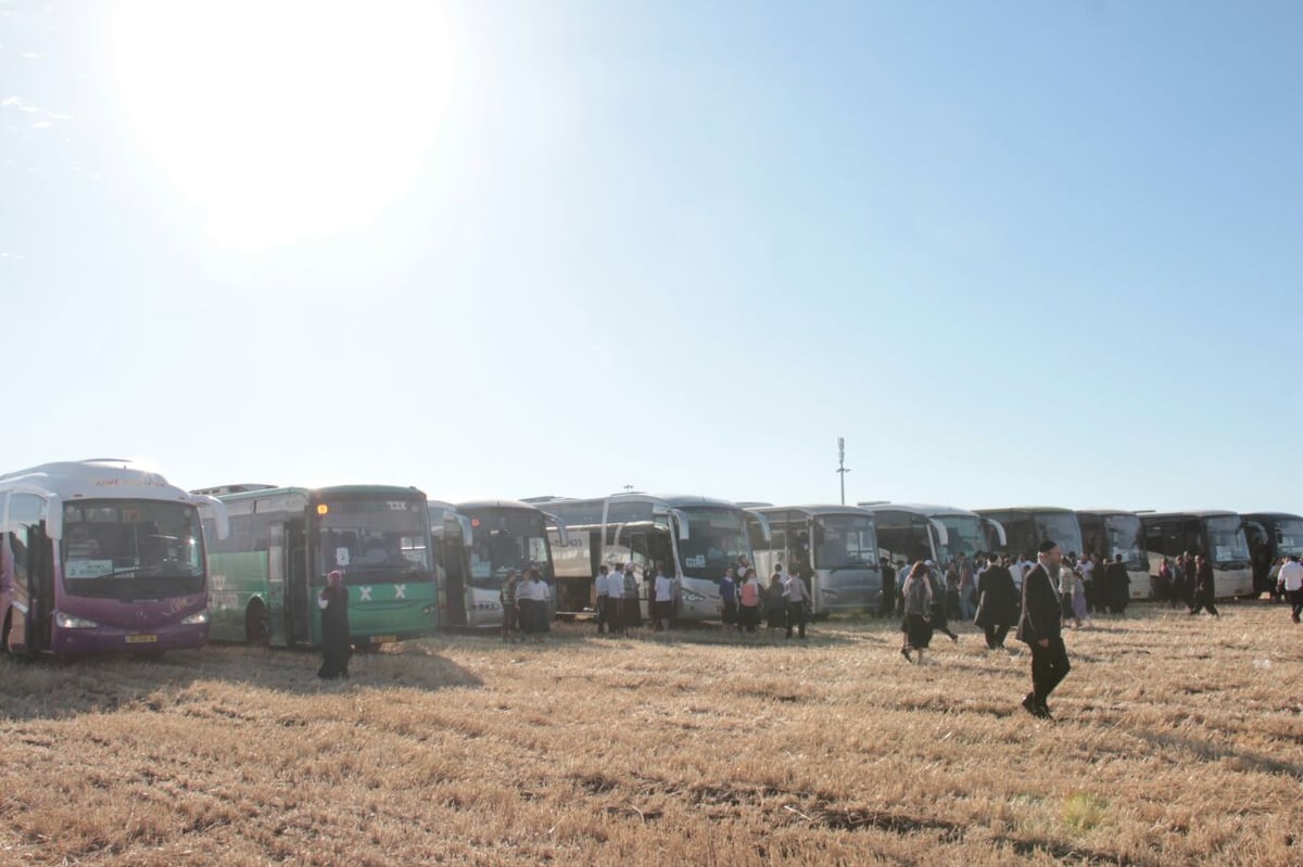 צפו: עוצרים להתרעננות בדרך לציון הרשב"י במירון