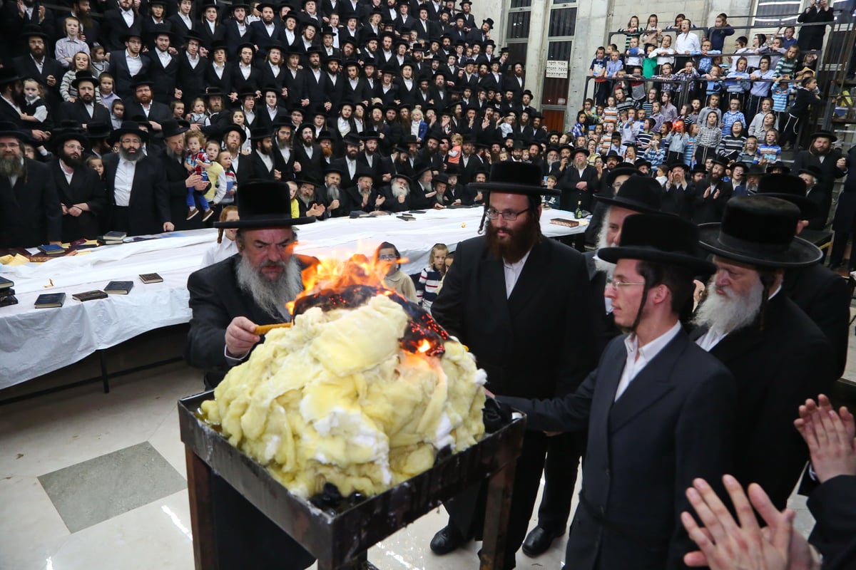 צפו: הרבי מלעלוב בהדלקת המדורה