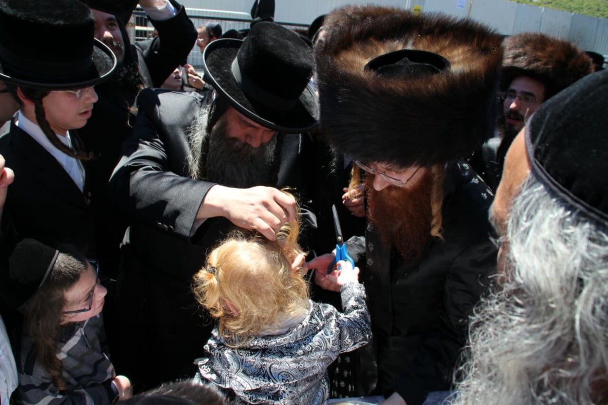 גלריה: ההדלקה של חסידויות סאסוב וקוידינוב במירון