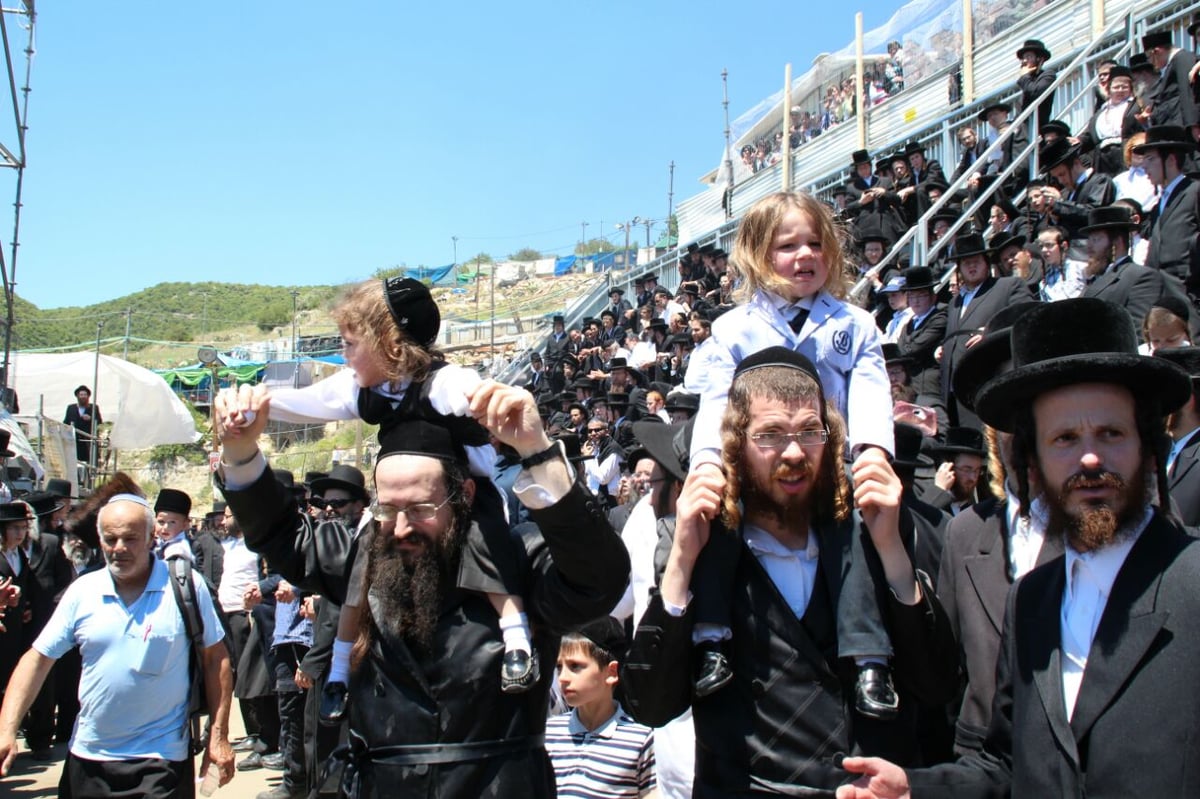 גלריה: ההדלקה של חסידויות סאסוב וקוידינוב במירון