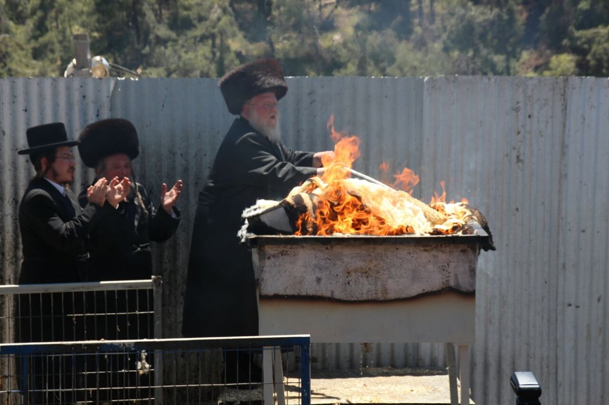 גלריה: ההדלקה של חסידויות סאסוב וקוידינוב במירון