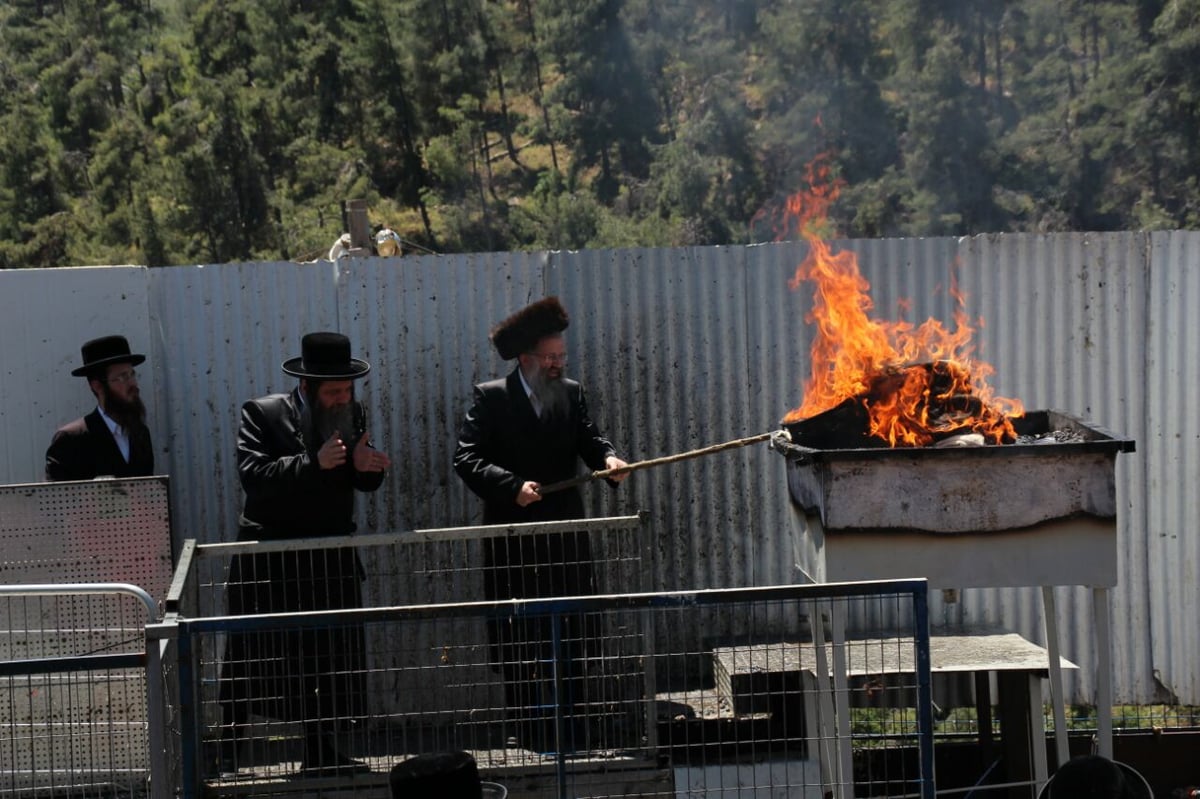 גלריה: ההדלקה של חסידויות סאסוב וקוידינוב במירון