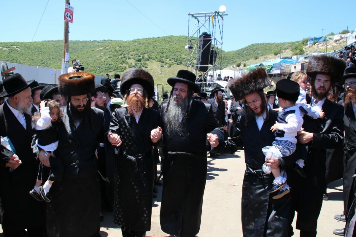 גלריה: ההדלקה של חסידויות סאסוב וקוידינוב במירון