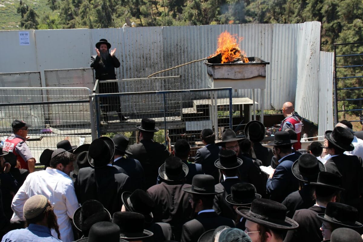 גלריה: ההדלקה של חסידויות סאסוב וקוידינוב במירון